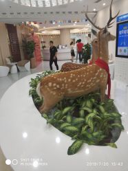 -润泽瑞尼丝医疗美容医院
