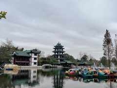 -桂湖森林公园