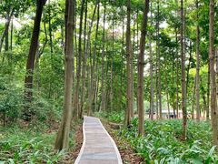 -云溪植物园