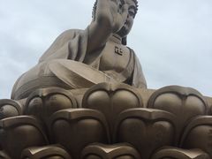 -龙口南山旅游景区