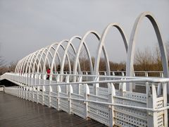 -大兴滨河森林公园