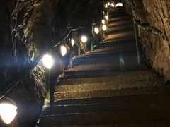 -贵阳猴耳天坑·极限酷玩公园