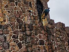 -J Create城市露营咖啡·简餐·宠物(上海动物园店)