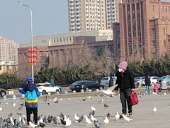 -大连人民广场