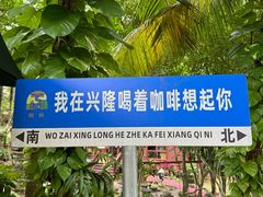 -兴隆隆苑咖啡庄园