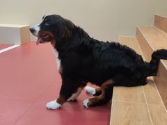 -和它·交个朋友·狗咖猫咖(爱琴海店)