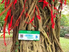 -红色娘子军纪念园