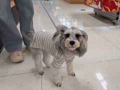 -帕帕拉兹宠物(亚洲旗舰店)