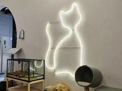 -有猫主题·治愈系猫咖(曾厝垵店)
