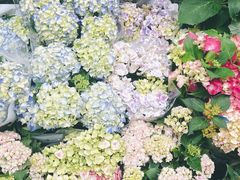 -循礼门鲜花花市(武汉循礼门店)