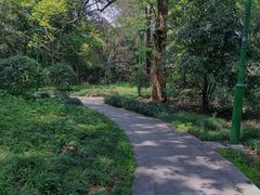 -杭州植物园