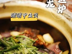 -金龙·打边炉(南京西路店)