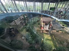 -大连森林动物园