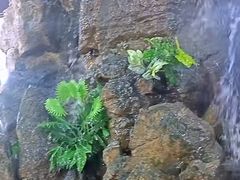 -利群海琴购物广场(商丘路店)