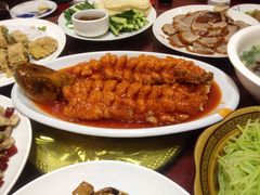 -津津乐乐
