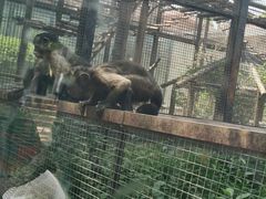 -石家庄市动物园