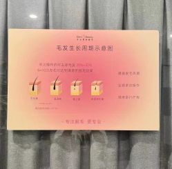 -植蔻妍倍儿专业脱毛·皮肤管理