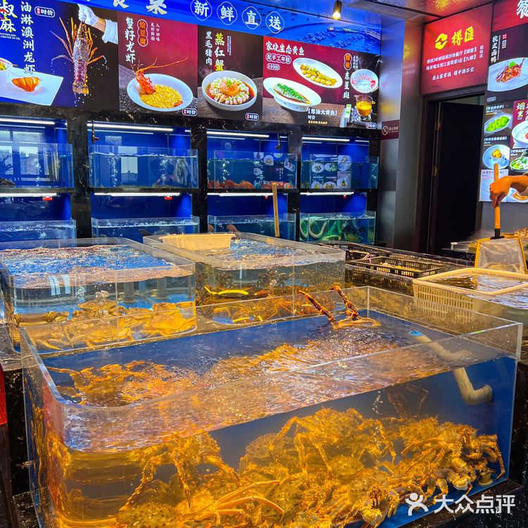 周浦新年聚餐来这里被长辈夸夸!