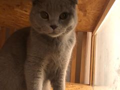 -颐玖 咖啡|甜品