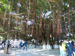 -胡里山炮台