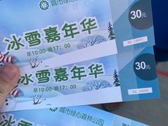 -绿野森林乐园冰雪季