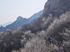-北京凤凰岭