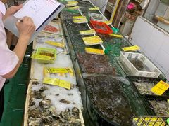 -鸿达渔港