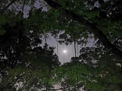 -晓港公园