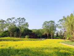 -北坞公园