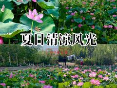-南翠屏公园