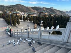 -龙口南山旅游景区