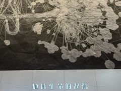 -贵州省地质博物馆