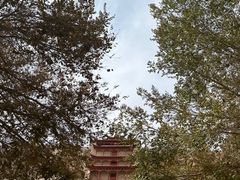 -敦煌莫高窟
