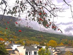 -塔川景区