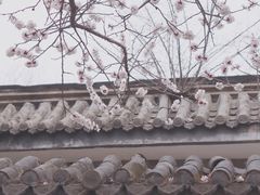 -云岗森林公园