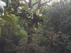 -第一山景区