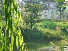 -王借岗森林公园