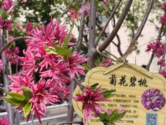 -山东省千佛山医院