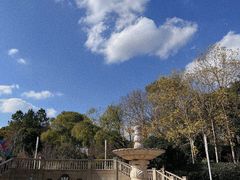 -大宁公园