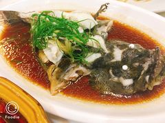 -鑫悦楼煎蟹·16年海鲜大排档