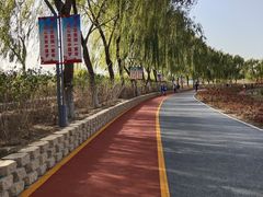 -大兴滨河森林公园