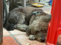 -老宅原住民沙茶面精品小吃(龙头路店)