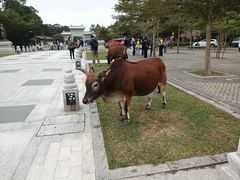 -天坛大佛