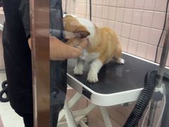 -FAELING PETS美天灵宠物(富力广场店)