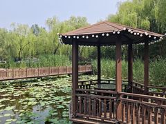 -潇湘甲鱼村(清河店)