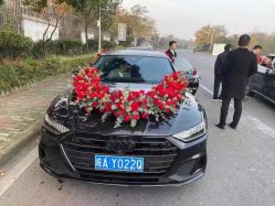 -蚂蚁婚车
