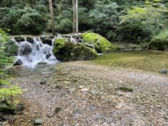 -牛背梁国家森林公园