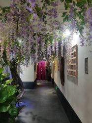 -盘子女人坊生日照·摄影馆(华强店)