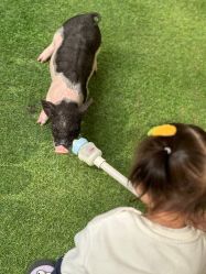 -萌宠亲子动物乐园(槐房万达店)