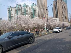 -西北湖绿化广场